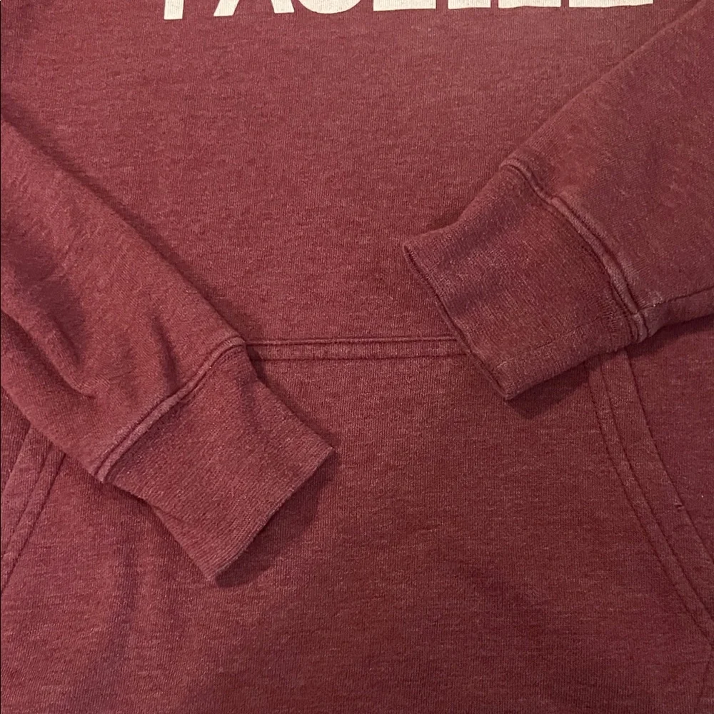 The North Face Burgundy Pullover Hoodie - Picture 7 of 8